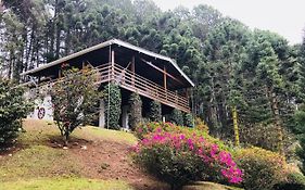 Casa dos Pinheiros Campos do Jordão